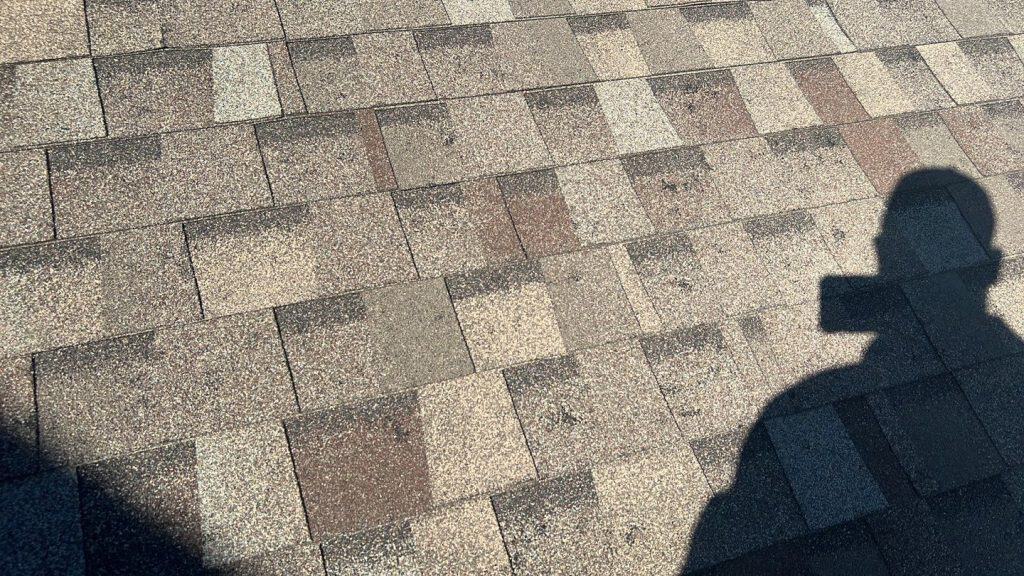Close-up of hail damage on asphalt shingles showing granule loss and impact marks on Plymouth Minnesota home roof inspected by First Impressions Exteriors