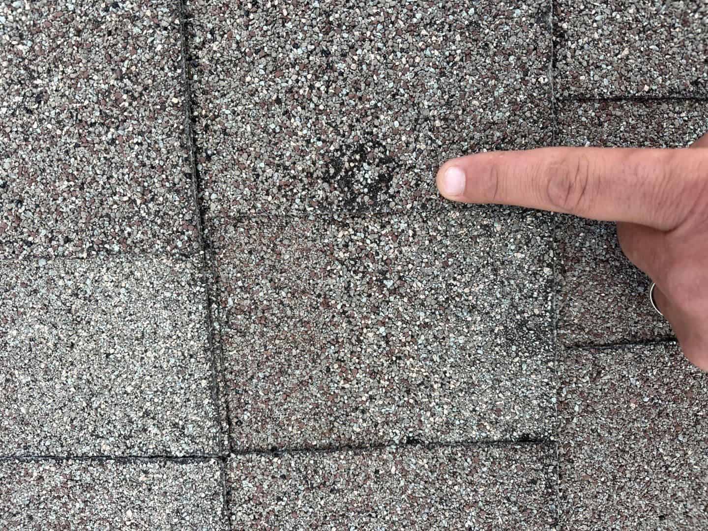 A hail hit marked on the old shingles during the inspection
