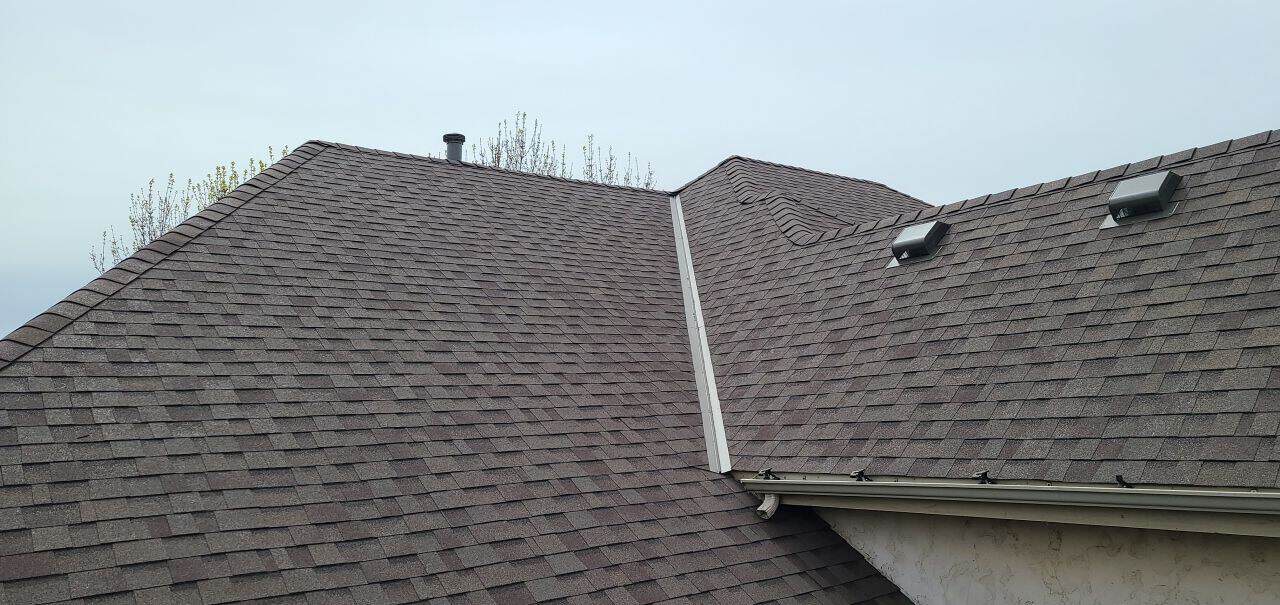 On the old roof before the Eden Prairie, MN replacement