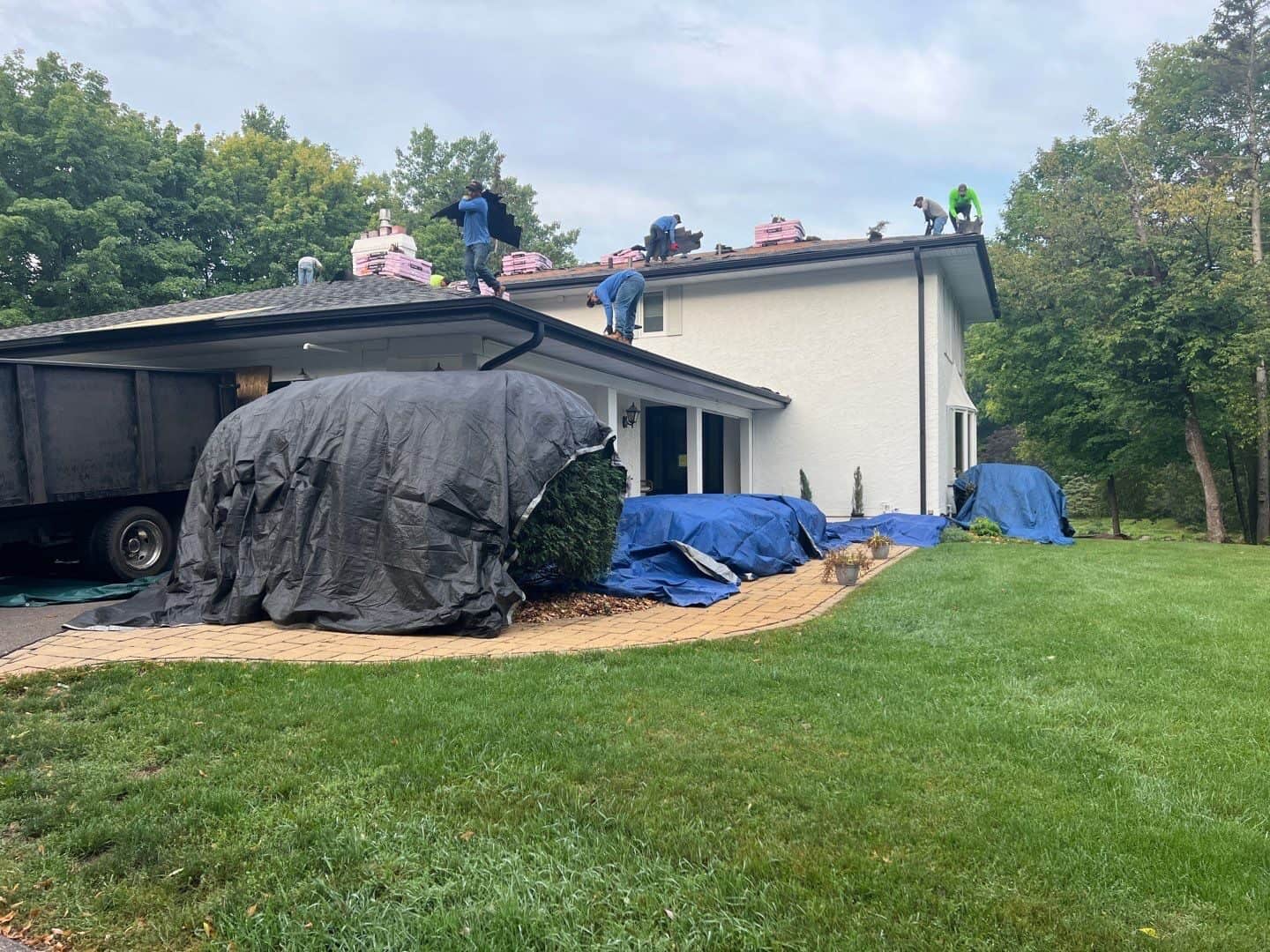 Crew protecting shrubs with tarps during a Plymouth, MN roof replacement